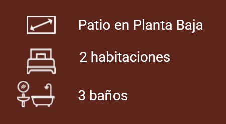 Características
