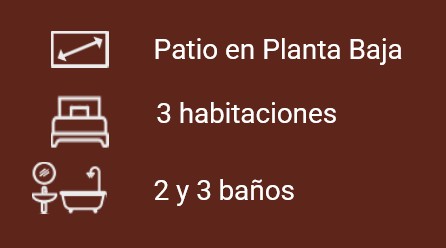 Características